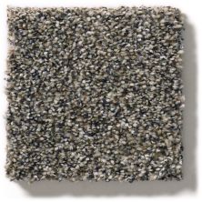 Shaw Floors Simply The Best Within Reach III Beige Bisque 5E261_00110