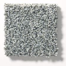 Shaw Floors Simply The Best Within Reach III Grey Fox 5E261_00504