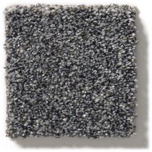 Shaw Floors Simply The Best Within Reach III Smokescreen 5E261_00705