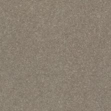 Shaw Floors Simply The Best Solidify II 12′ Natural Contour 00104_5E264