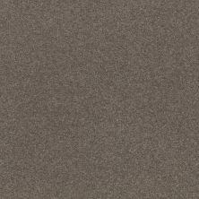 Shaw Floors Simply The Best Solidify III 12′ Pewter 00701_5E266