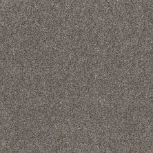 Shaw Floors Pet Perfect Plus Calm Simplicity I Shoreline 00116_5E271