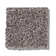 Shaw Floors Bellera Calm Simplicity I Shoreline 5E271_00116