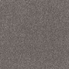 Shaw Floors Pet Perfect Plus Calm Simplicity I Harbor Dock 00513_5E271