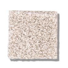 Shaw Floors Bellera Calm Serenity II Serene Still 5E272_00101
