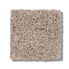 Shaw Floors Bellera Calm Serenity II Washed Linen 5E272_00103