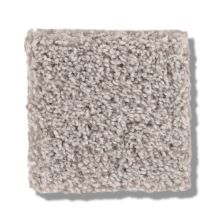 Shaw Floors Bellera Calm Serenity II Split Sediment 5E272_00104