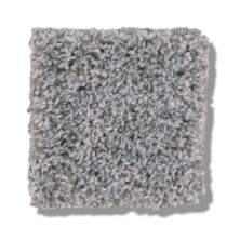 Shaw Floors Bellera Calm Serenity II Silver Lining 5E272_00500