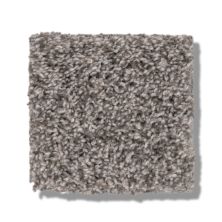 Shaw Floors Bellera Calm Simplicity II Washed Linen 5E273_00113