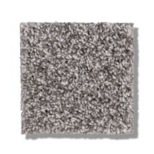 Shaw Floors Bellera Calm Simplicity II English Streets 5E273_00115
