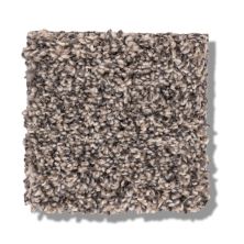 Shaw Floors Bellera Calm Simplicity II Shoreline 5E273_00116