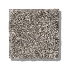 Shaw Floors Bellera Calm Simplicity II Kidskin 5E273_00119