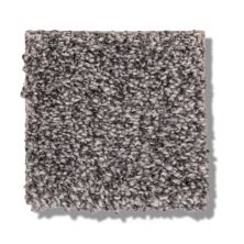Shaw Floors Bellera Calm Simplicity II Silver Lining 5E273_00510