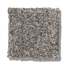 Shaw Floors Bellera Calm Simplicity II Newstone Haven 5E273_00512