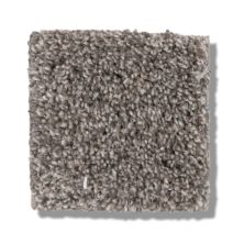 Shaw Floors Bellera Calm Simplicity II Desert View 5E273_00711