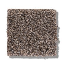 Shaw Floors Bellera Calm Simplicity II Antelope 5E273_00714
