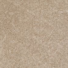 Shaw Floors Dreamin' Net Gallery