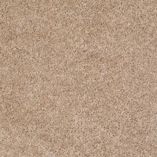 Shaw Floors Dreamin' Net Macaroon