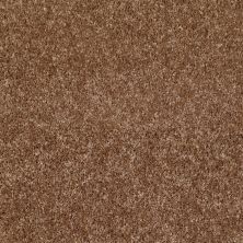 Shaw Floors Dreamin' Net Ridgecrest