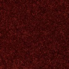 Shaw Floors Dreamin' Net Cayenne