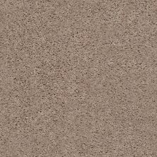 Shaw Floors Value Collections Break Away (s) Net Warm Sand 00106_5E282