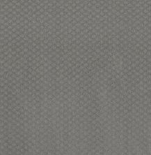 Shaw Floors Formalize Grey Fox 00504_5E291