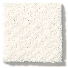 Shaw Floors Foundations Mainstay Serene Still 5E292_00101