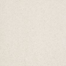 Shaw Floors Value Collections Cashmere Classic III Net Icelandic