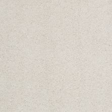 Shaw Floors Value Collections Cashmere Classic III Net Suffolk