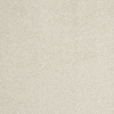 Shaw Floors Value Collections Cashmere Classic III Net Cheviot