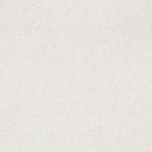 Shaw Floors Value Collections Cashmere Classic III Net Crisp