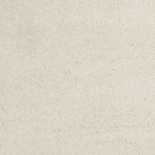 Shaw Floors Value Collections Cashmere Classic III Net Fresh Cream