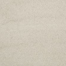 Shaw Floors Value Collections Cashmere Classic III Net Heirloom