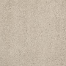 Shaw Floors Value Collections Cashmere Classic III Net Suede