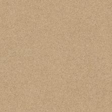Shaw Floors Value Collections Cashmere Classic III Net Manilla