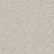 Shaw Floors Value Collections Cashmere Classic III Net Spearmint