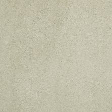 Shaw Floors Value Collections Cashmere Classic III Net Celadon