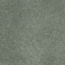 Shaw Floors Value Collections Cashmere Classic III Net Jade