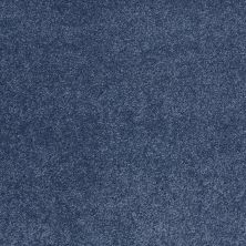 Shaw Floors Value Collections Cashmere Classic III Net True Blue