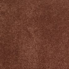 Shaw Floors Value Collections Cashmere Classic III Net Rich Henna