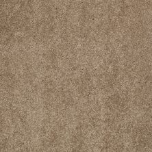 Shaw Floors Value Collections Cashmere Classic III Net Pebble Path