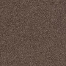 Shaw Floors Value Collections Cashmere Classic III Net Spring - Wood