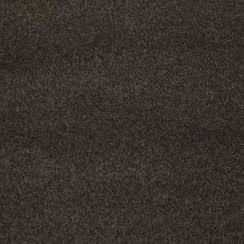 Shaw Floors Value Collections Cashmere Classic III Net Chestnut