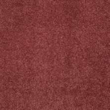Shaw Floors Value Collections Cashmere Classic III Net Cranberry