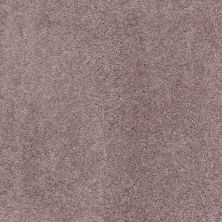 Shaw Floors Value Collections Cashmere Classic III Net Heather