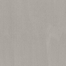 Shaw Floors Value Collections Mainstay Net Grey 00500_5E302