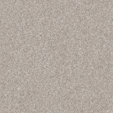 Shaw Floors Just Right I Winter Dunes