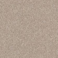 Shaw Floors Just Right I Grecian Tan