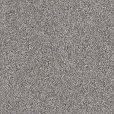 Shaw Floors Just Right II Cedar Ridge