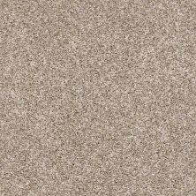 Shaw Floors Captured II Neutral Ground